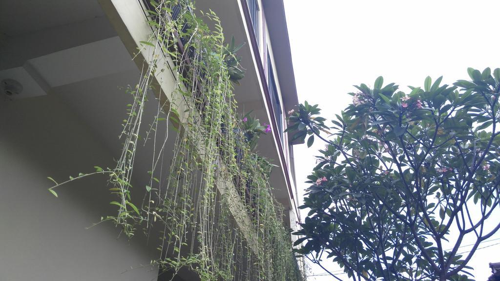 Nyoman Badri Homestay Ubud Kültér fotó