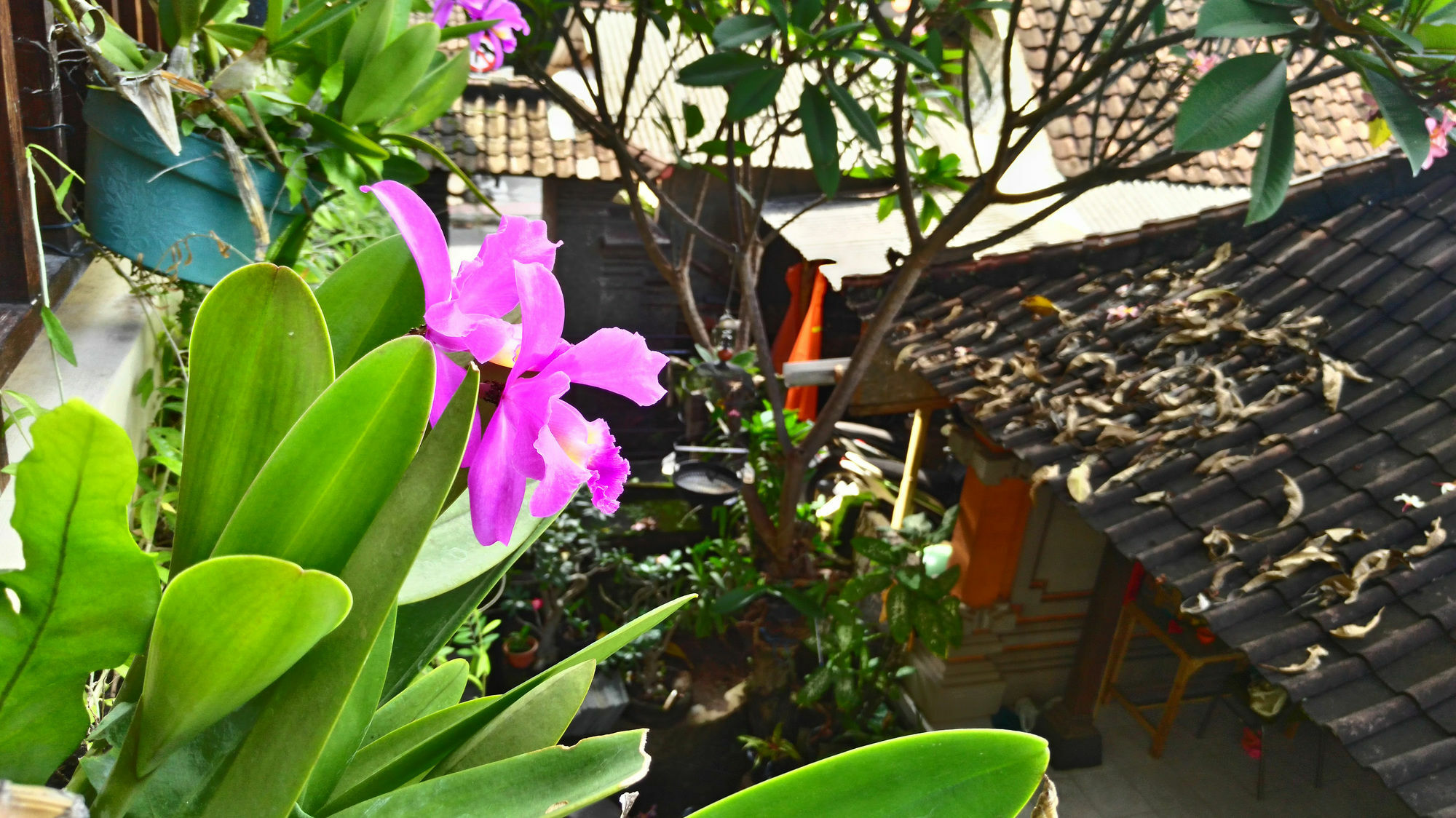 Nyoman Badri Homestay Ubud Kültér fotó